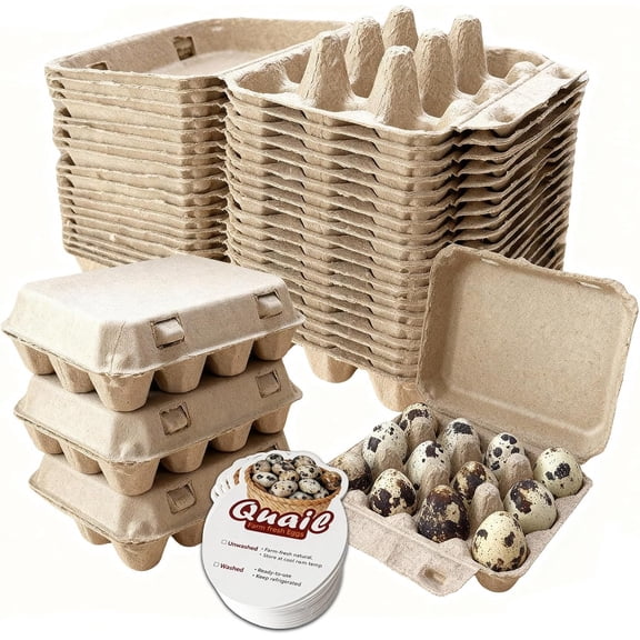 Natural Pulp Paper 1 Dozen Quail  Egg Cartons, Reusable, 20 Pack, Box for Refrigerator Small Pheasant Pigeon Egges