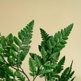 thumbnail image 5 of Raw Sola Wood Flowers - Centerpiece/Vase/Pot/Bouquet Fillers - -Leather Leaf Green, 5 of 6