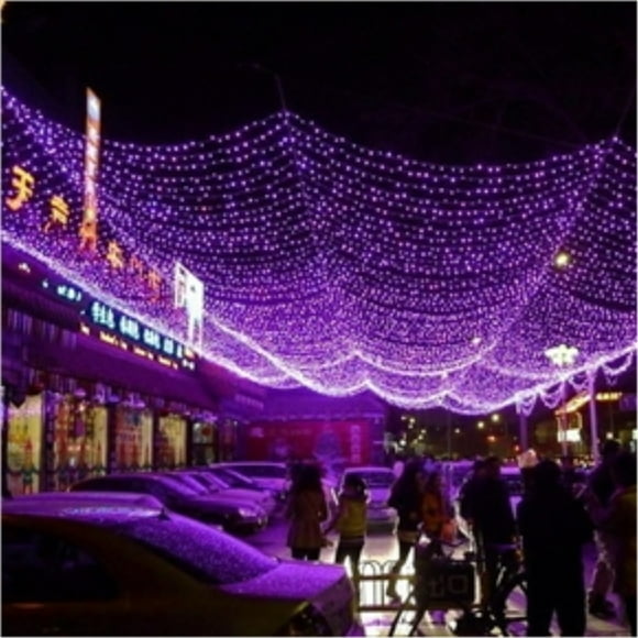 The Perfect Company 100 LED String Light - Purple