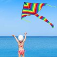 thumbnail image 4 of Teissuly Flight Kite Easy Flyer Large Giant Colourful Outdoor Activities In Strong Or Light Wind Teissuly WER202311274057, 4 of 9