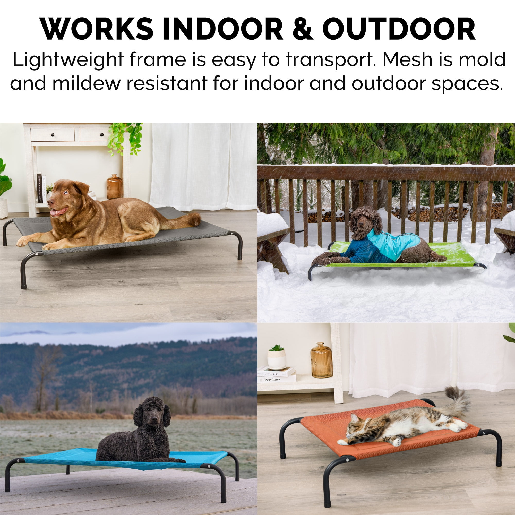 Elevated Cot Pet Bed, Cooling, Gecko Green, Extra Large, 1 Count
