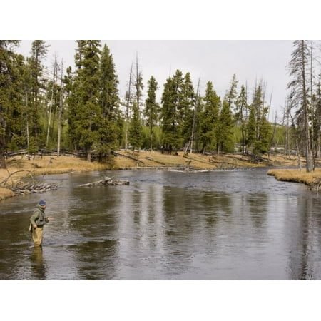 Fly Fishing, Firehole River, Yellowstone National Park, UNESCO World Heritage Site, Wyoming, USA Print Wall Art By Pitamitz