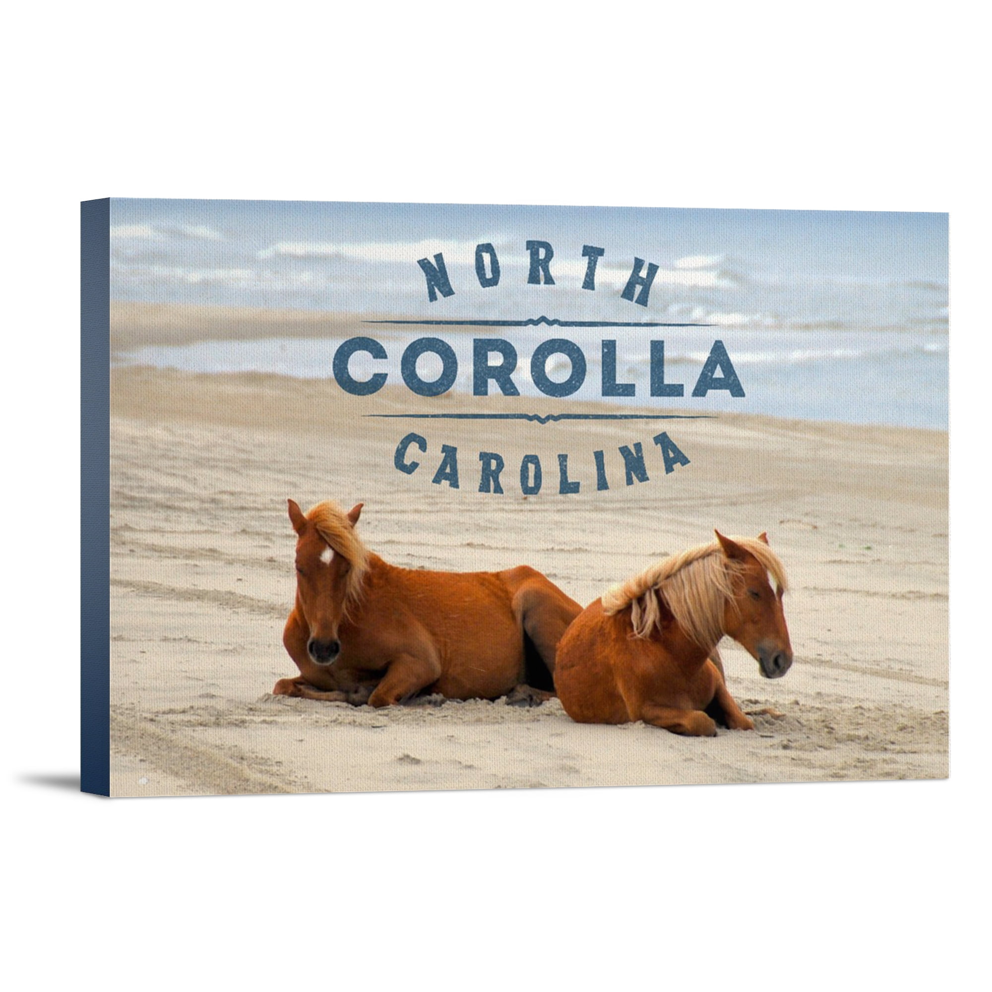 Corolla's Spanish Mustangs 8