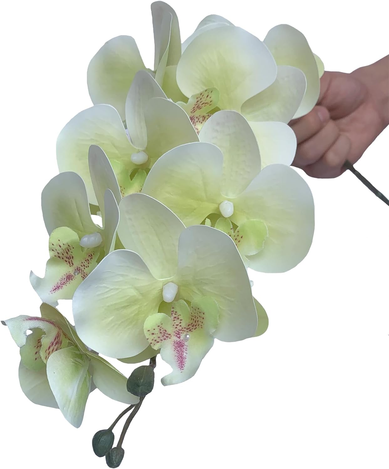 3Artificial Phalaenopsis Flowers with Leaves Artificial Orchid Flowers Stem Plants Fake Butterfly Phalaenopsis Flowers for Home Wedding Party Décor (Yellow)