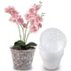 thumbnail image 4 of Xiao Hua Maceta para orquídeas, perforada, transparente, con base para orquídeas mariposa, apta para plantar en interiores y exteriores, 2 juegos (sin plantas), 4 of 5