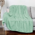 thumbnail image 3 of PAVILIA Mint Green Throw Blanket for Couch, Twin Bed, Soft Fleece Throws for Sofa Chair, Fuzzy Waffle Textured Blanket, Cozy Warm Lightweight All Season Blanket Throw, 60x80, 3 of 8