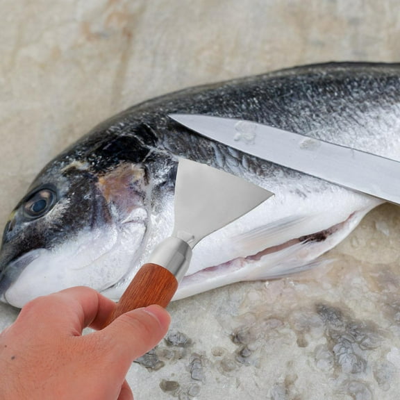 Raindrops Portable Stainless Steel Fish Scaler Tool Sharp Descaler for Fish Cleaning and Other Food Peeling Tasks 2pcs