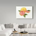 thumbnail image 3 of Trademark Fine Art 'Citrus Garden X' Canvas Art by Kathleen Parr McKenna, 3 of 3