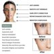 thumbnail image 3 of Eelhoe Collagen Anti-aging Essence Dilutes Fine Lines And Wrinkles Repairing Anti-wrinkle Anti-aging Essence-M, 3 of 5