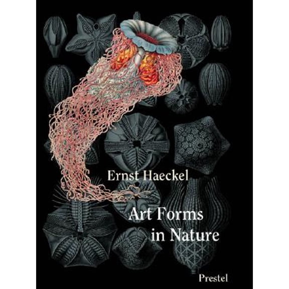 Pre-Owned Art Forms in Nature Mini (Hardcover) 3791330853 9783791330853