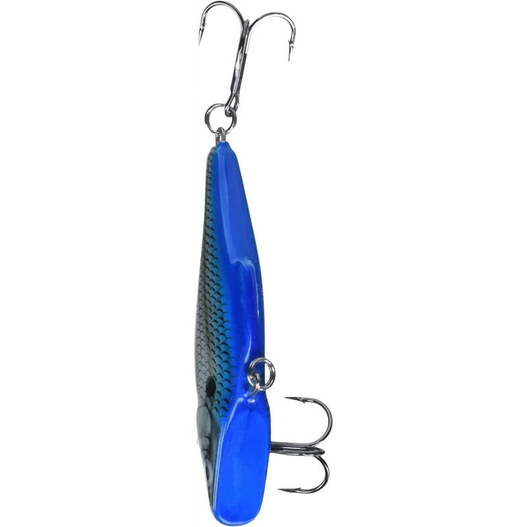  Rapala 2.75'' Firetiger Sinking : Fishing Topwater Lures And  Crankbaits : Sports & Outdoors
