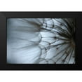 thumbnail image 2 of Stramel, Renee W. 18x13 Black Modern Framed Museum Art Print Titled - Macro Dandilion XII, 2 of 5