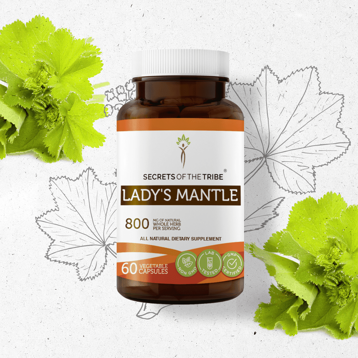 Secrets Of The Tribe Lady's Mantle Capsules Dietary Supplement, Natural Herbal Capsules for Hormonal Balance Support, Lady's Mantle (Alchemilla vulgaris) Dried Herb, 60 Capsules