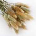 thumbnail image 3 of CAROOTU 50 Pcs Dried Flower Grass Decoration Photography Props for Home Store Wedding, 3 of 6