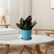 thumbnail image 1 of pstuiky Macetas de resina de estilo escandinavo para plantas verdes de un galón concisas gruesas de larga duración de imitación de plástico de cerámica para el hogar de gran tamaño., 1 of 6