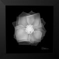 thumbnail image 2 of Koetsier, Albert 12x12 Black Modern Framed Museum Art Print Titled - Rose Petals 2, 2 of 5