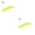thumbnail image 3 of Greeniant 10 Uds. De cebos de insectos de simulación, señuelos de pesca portátiles, cebos de pesca suaves reutilizables, cebos de plástico para Jigging Type25 NO25 Greeniant CBP149517, 3 of 6
