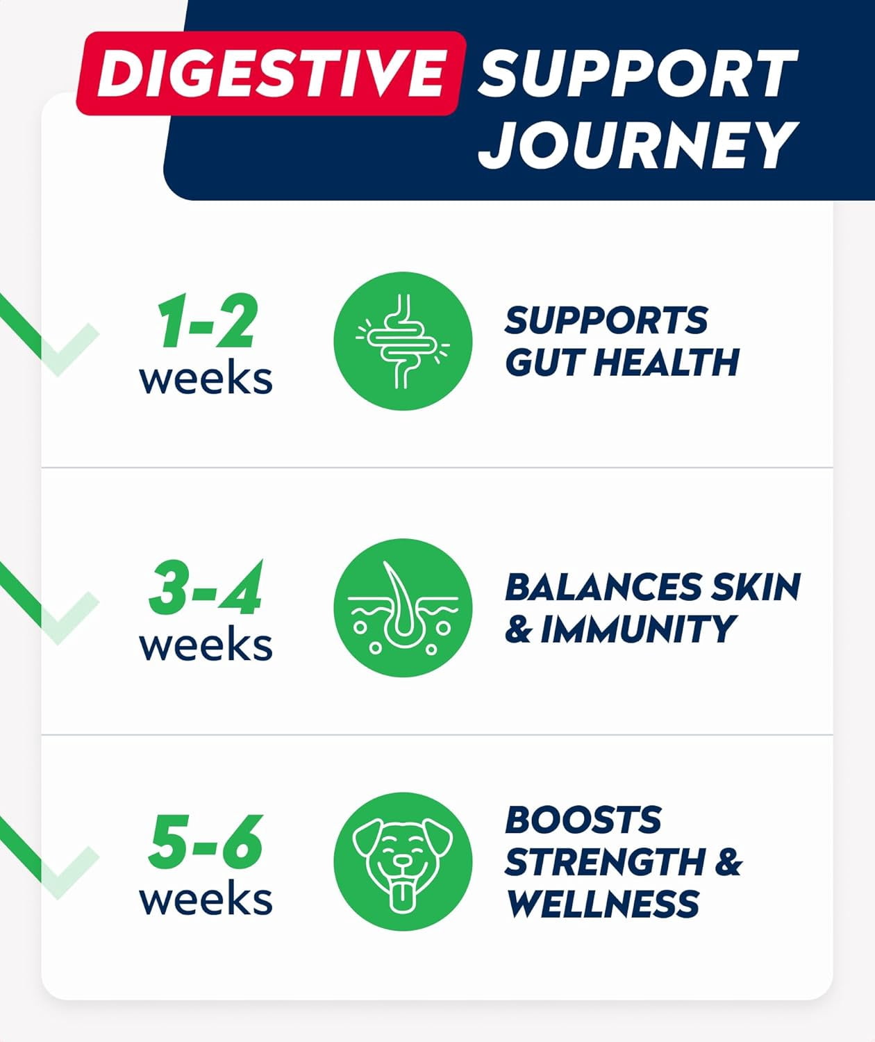 StrellaLab Probiotic Chews for Dogs - 1B CFU, Digestive Enzymes & Prebiotics - Allergy, Diarrhea & Gas Relief - Pumpkin Formula
