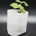 thumbnail image 2 of Vikakiooze 100Pcs Nursery Pots Seed-Raising Bags Non-woven Fabrics Garden Supply 8x10cm, 2 of 8