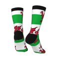 thumbnail image 5 of Women'S Novelty Funny Crew Socks Men'S Welsh Flag Design Socks, 5 of 7