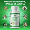 thumbnail image 3 of Organic Oil of Oregano Capsules with Black Seed Oil, Garlic, Turmeric, Holy Basil, Vitamin D3, E & Black Pepper for Immune, Digestive & Respiratory Health – Vegan, Non-GMO, 3 Month Supply, 3 of 9