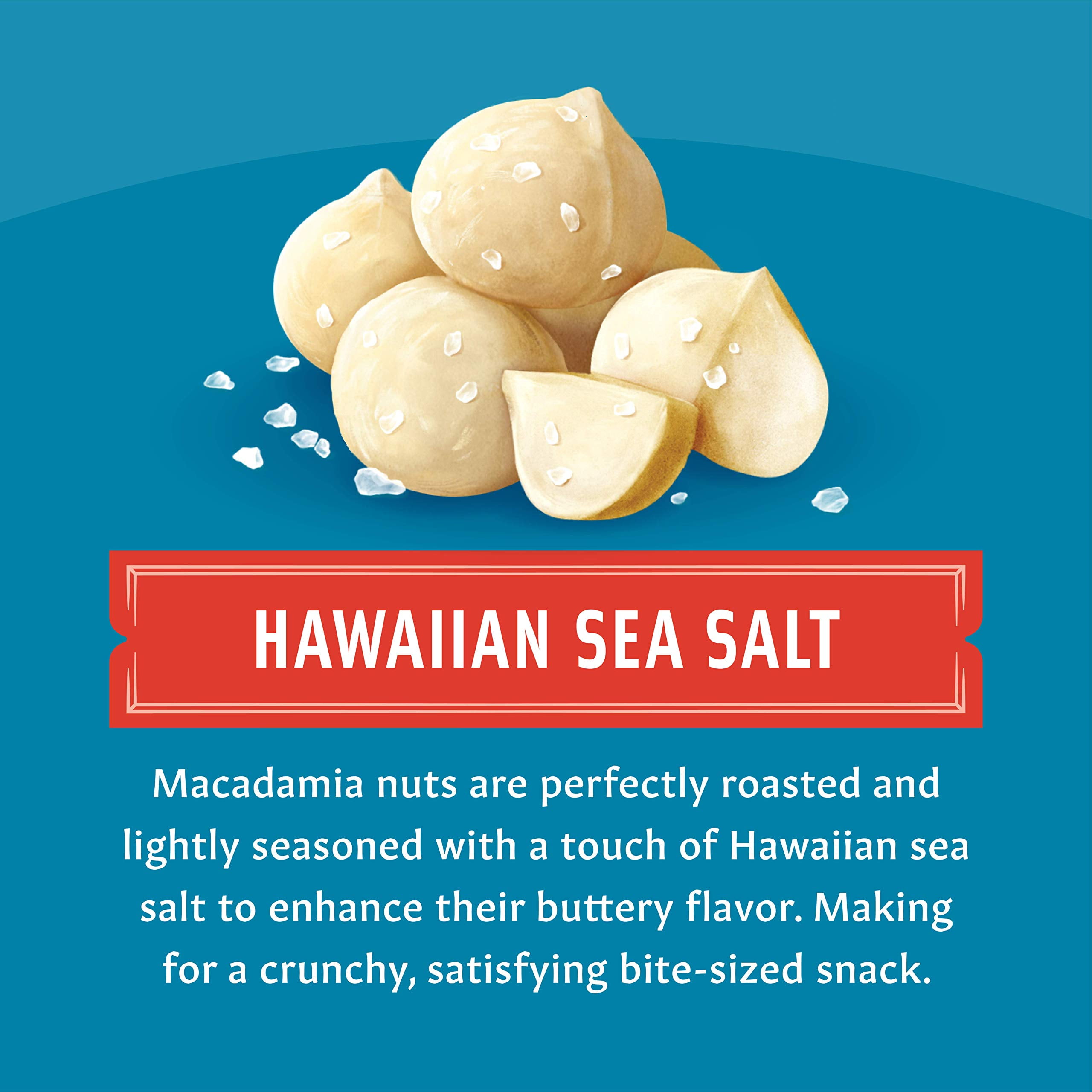 Mauna Loa Premium Hawaiian Roasted Macadamia Nuts, 4 oz Bag (Pack of 32)