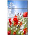 thumbnail image 2 of Belles Coquelicots Rouges sur Fond de Ciel - Toile Florale Imprimé Art, 2 of 3