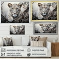 thumbnail image 4 of Designart "Power of African Lionesses II" Animals Floater Framed Canvas Art Print, 4 of 7