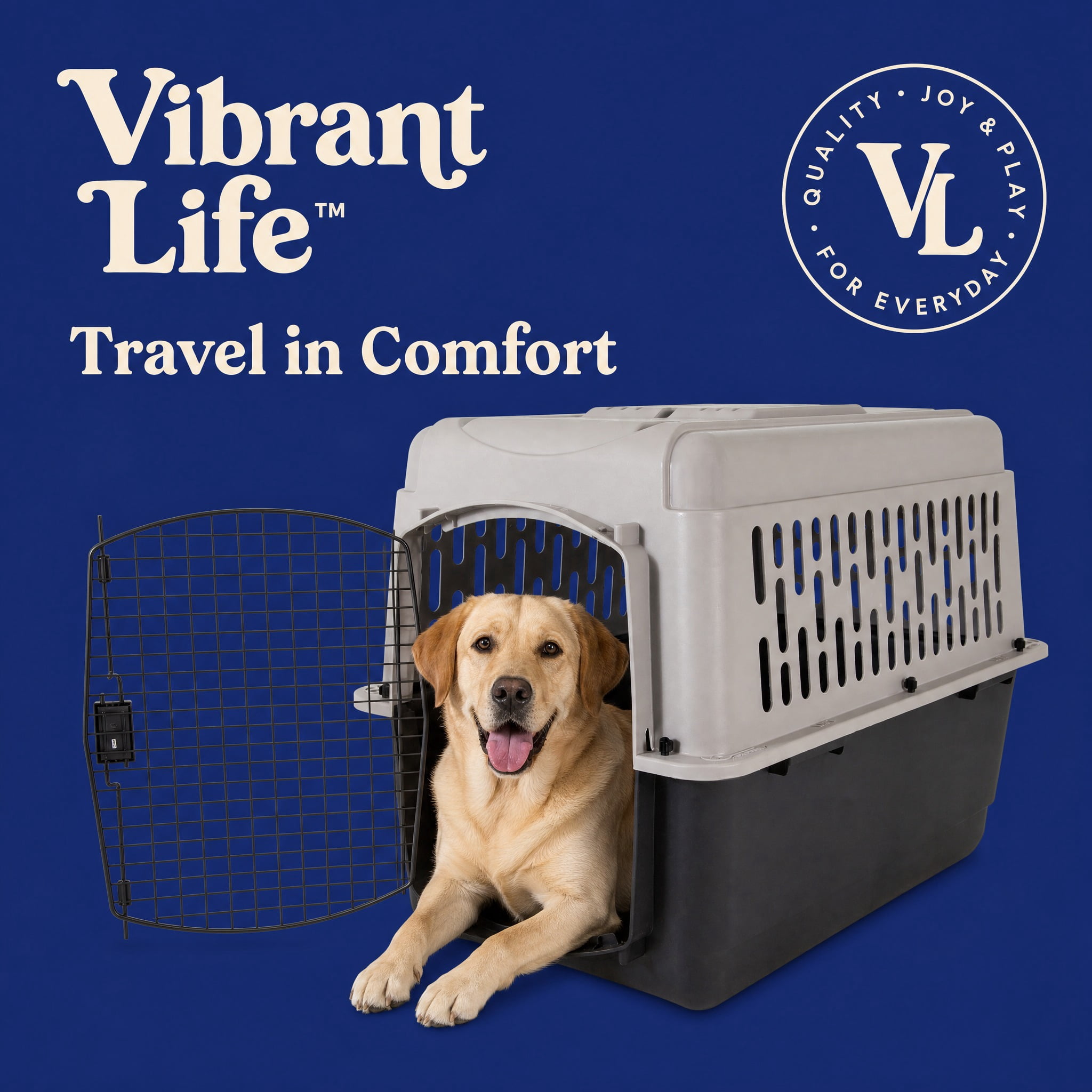 (4 pack) Vibrant Life Medium/Large Plastic Hard-Sided Pet Carrier, Black and Gray, 70 lb Limit