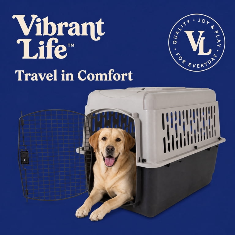 Vibrant Life Medium/Large Plastic Hard-Sided Pet Carrier, Black