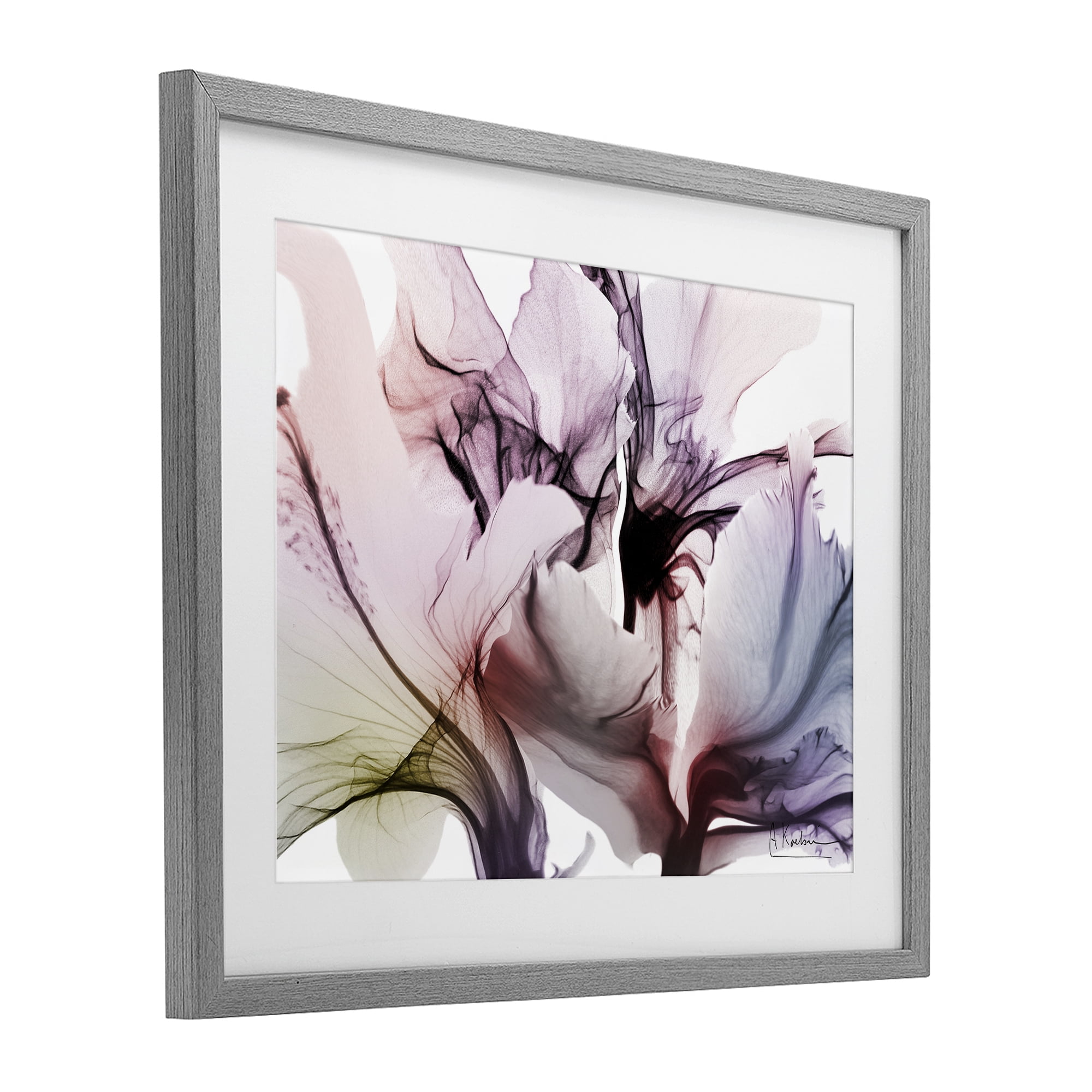Stupell Industries Brilliant Song Flower Petals Gray Framed Print Under Glass, design by Albert Koetsier