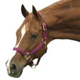 thumbnail image 1 of Intrepid International 1ZAS35BU Nylon Horse Halter, Yearling - Burgundy, 1 of 1