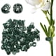 thumbnail image 1 of Clips para plantas, clips para orquídeas para plantas, clips de apoyo para orquídeas, clips de flores para apoyar tallos de vides, tallos de enredaderas, plantas trepras, cultivar verticalmente,, 1 of 3