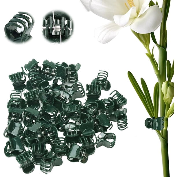 Clips para plantas, clips para orquídeas para plantas, clips de apoyo para orquídeas, clips de flores para apoyar tallos de vides, tallos de enredaderas, plantas trepras, cultivar verticalmente,