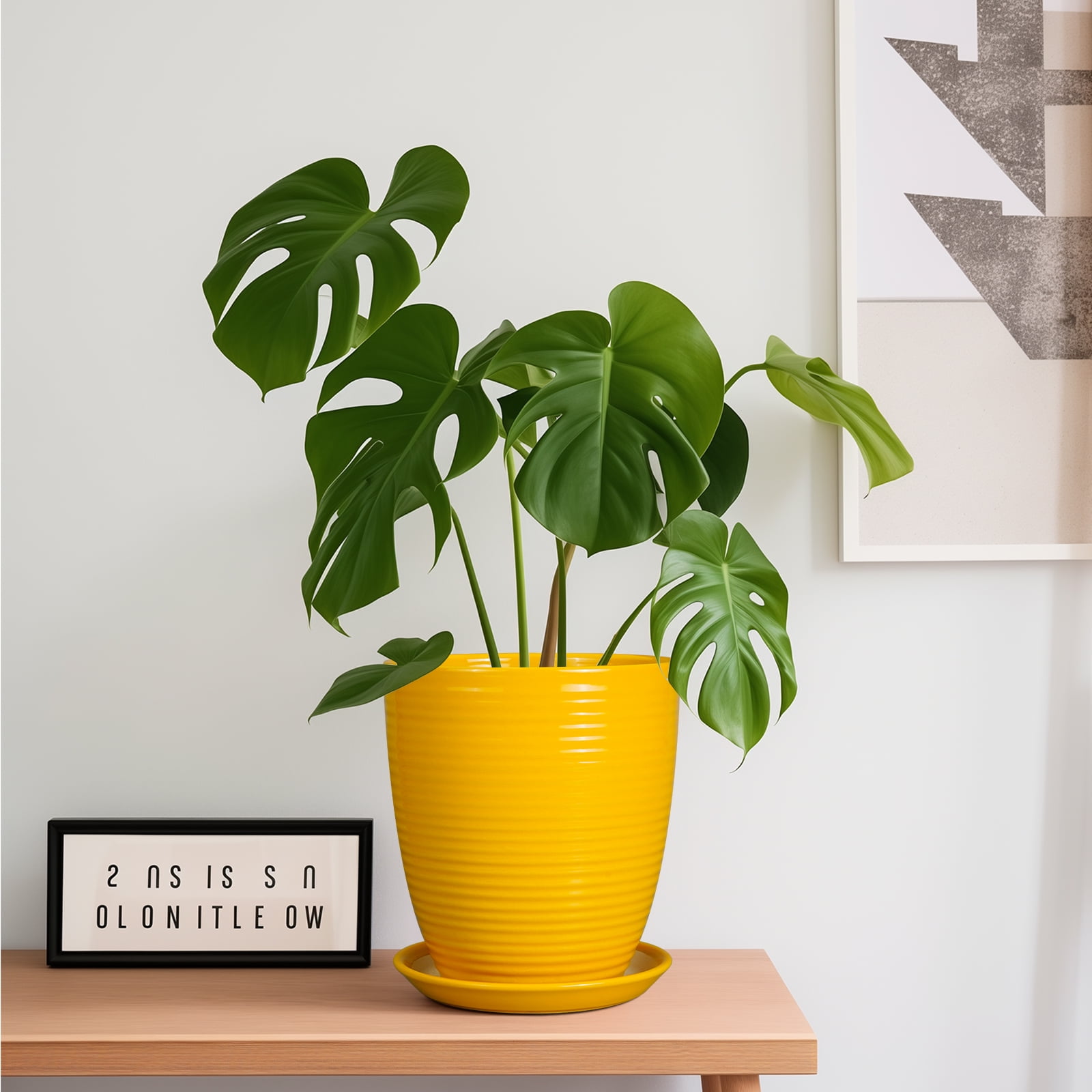 EPFamily 8 Inch Yellow Ceramic Planter with Drainage Hole and Saucer – Modern Flower Pot for Indoor Plants, Snake Plants, Herbs