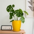 thumbnail image 5 of EPFamily 8 Inch Yellow Ceramic Planter with Drainage Hole and Saucer – Modern Flower Pot for Indoor Plants, Snake Plants, Herbs, 5 of 8