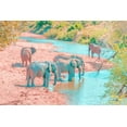 thumbnail image 2 of Murdock, Ramona 32x23 Gold Ornate Wood Framed with Double Matting Museum Art Print Titled - Waterhole Rendezvous II, 2 of 4