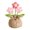 Pink, variant on Handmade Knitted Crochet Mini Potted Cactus in Red for Boho Desk Bedroom Balcony Home Decoration