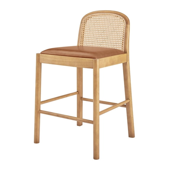 New Pacific Direct Donna Faux Leather Rattan Counter Stool in Brown (Set of 2)