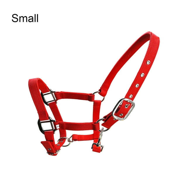 tredstone Collier de Tête de Poney Rembourré avec Licou Grande Résilience Protection Licou Rembourré Fabrication Équipement Fournitures pour Chevaux Solidité Selle de Course Rouge P