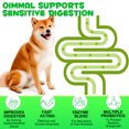 thumbnail image 6 of Oimmal Probiotics with Enzymes Chewable Tablets for Dogs, 180P Peking Duck Flavor - Supports Flora & Digestive Health | Relief from Constipation, Allergies - Digestive and Immune Support, 6 of 12