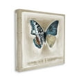 thumbnail image 3 of Stupell Industries Asymmetrical Butterfly Neutral Border Painting Gallery Wrapped Canvas Print Wall Art, Design by Stacy D'Aguiar, 3 of 7