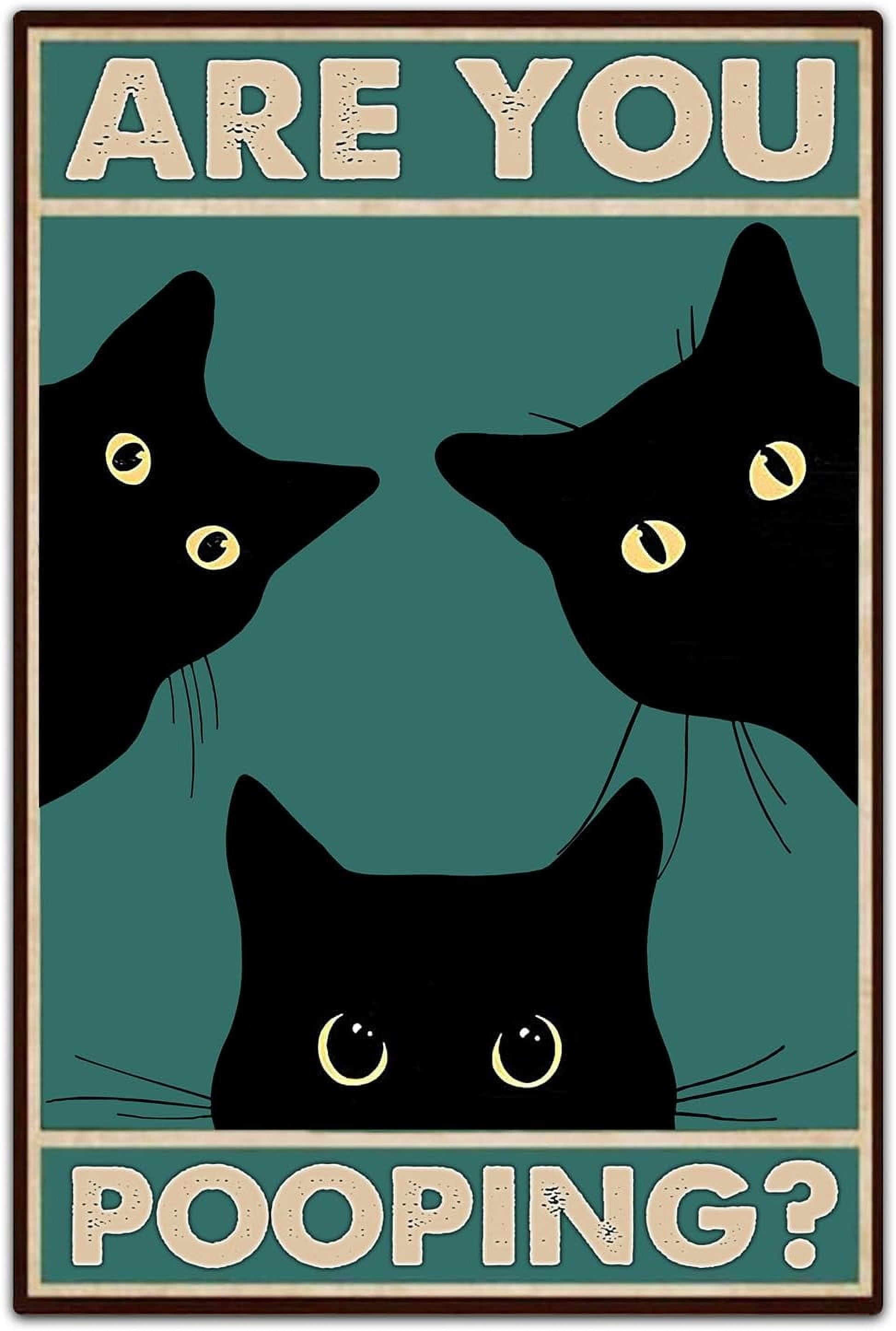 BLACK Catsレコード4枚 ご希望でポスター2枚おつけします 2026年最新】Yahoo!オークション -ブラックキャッツ レコード(は行)の