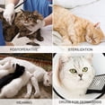 thumbnail image 3 of Plaid Cat Recovery Shirt Breathable Kitten Recovery Clothes Cat Recovery Suit, 3 of 10