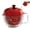 Red, variant on Salad Spinner, Small Salad Spinner Bowl, Fruit Washer Dryer Cleaner