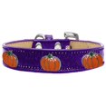 thumbnail image 1 of Pumpkin Widget Dog Collar Purple Ice Cream Size 20, 1 of 1