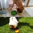 thumbnail image 5 of Paquete de 2 Tazones Plegables para Perros TUNC Plato de Taza Extensible Plegable Azul y Verde, 5 of 5