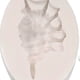 thumbnail image 5 of Sywqhk Molde de silicona para jabón Pearl Seashell, decoración artesanal de velas aromáticas DIY (SX-HY-03) Sywqhk Para estrenar, 5 of 6