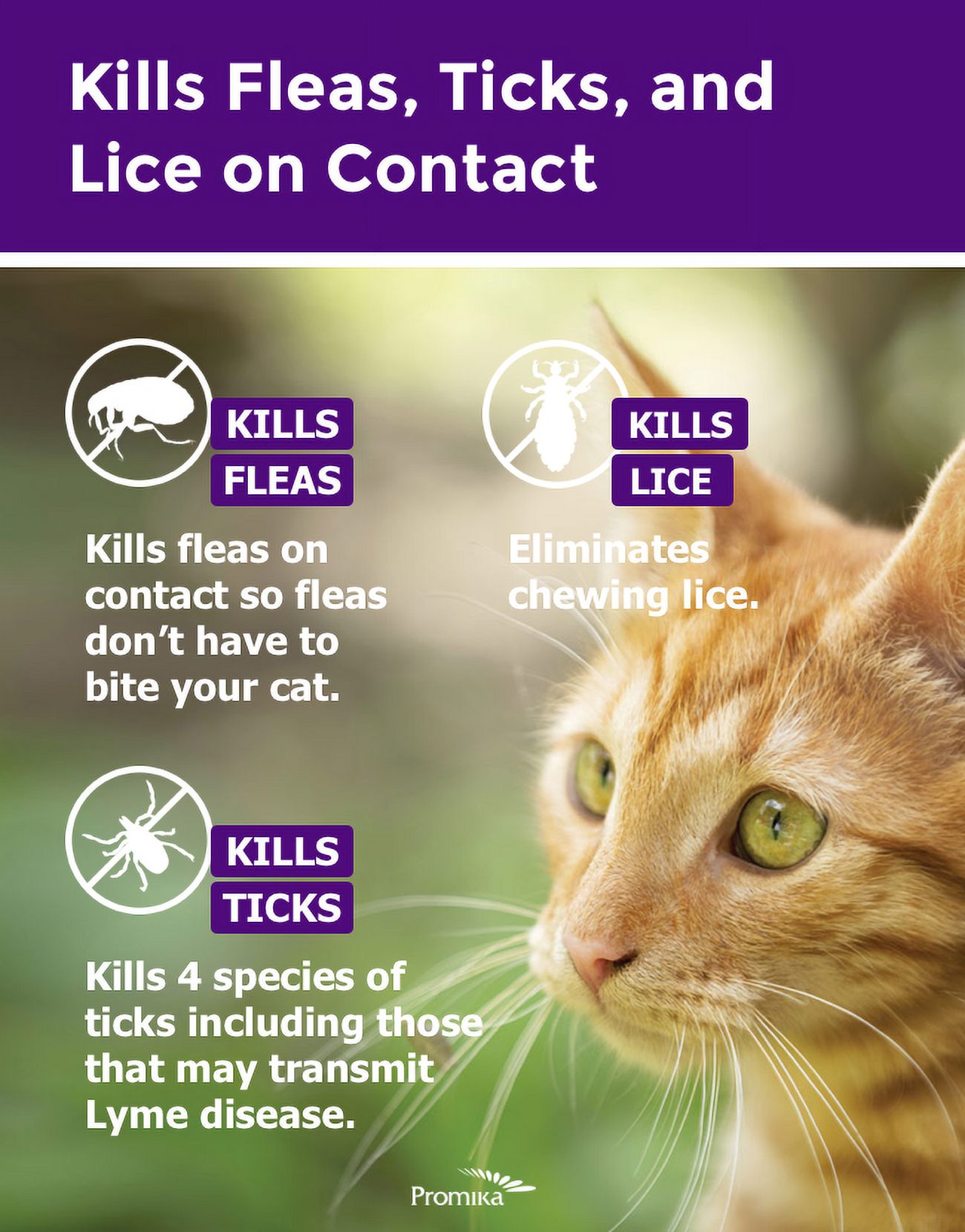 ShieldTec for Cats Flea and Tick Prevention. 3 Months Protection ...