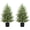2PC, variant on 4FT Pre-Lit Artificial Norfolk Pine Christmas Tree – Realistic Potted Tree with 100 LED Lights & 8-Function Battery Box, Pre-Assembled Faux Holiday Décor for Indoor Use